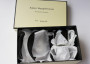 Porcelain Collection（Cup&Saucer Set）/ ロバート・メイプルソープ image 4