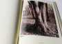 Eugene Atget's Trees / アッジェ image 3