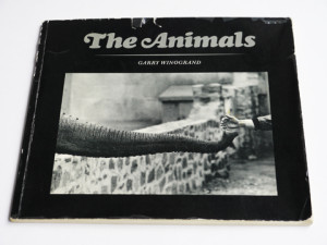 The Animals / ゲイリー・ウィノグランド image 1